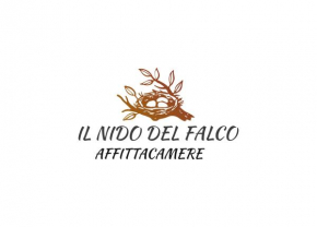 IL NIDO DEL FALCO